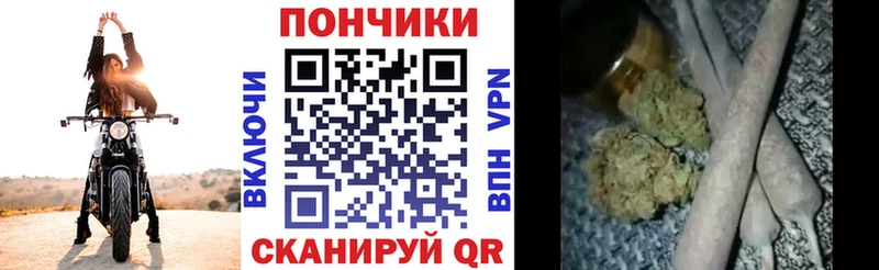 Купить закладки  Подпорожье  Канабис индика 